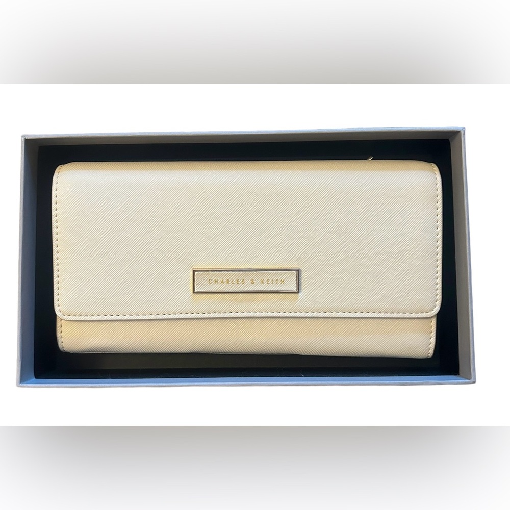 020 PRS:  Charles & Keith purse